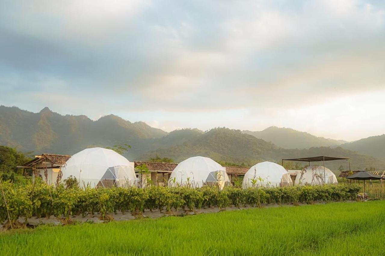 Borobudur Luxury Glamping Magelang Exteriér fotografie
