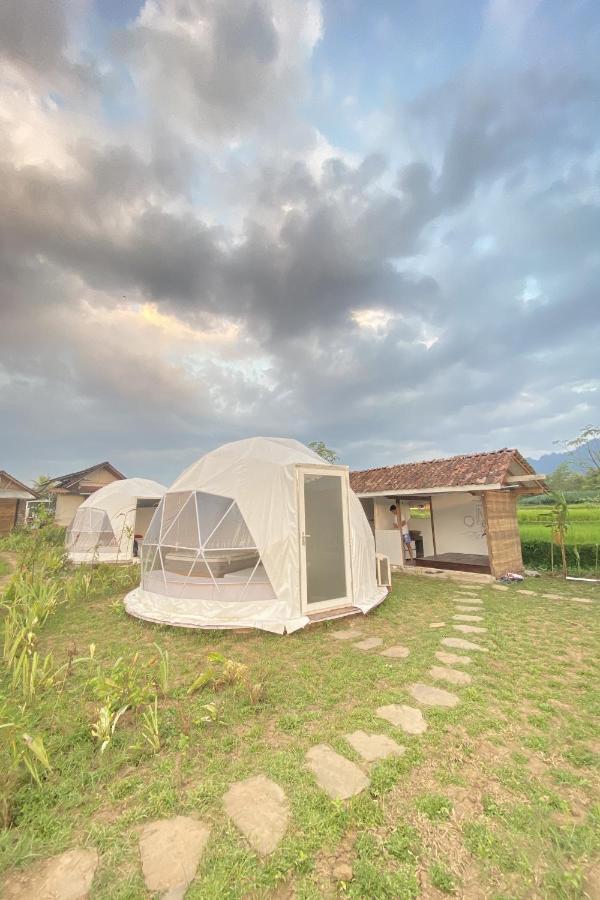Borobudur Luxury Glamping Magelang Exteriér fotografie
